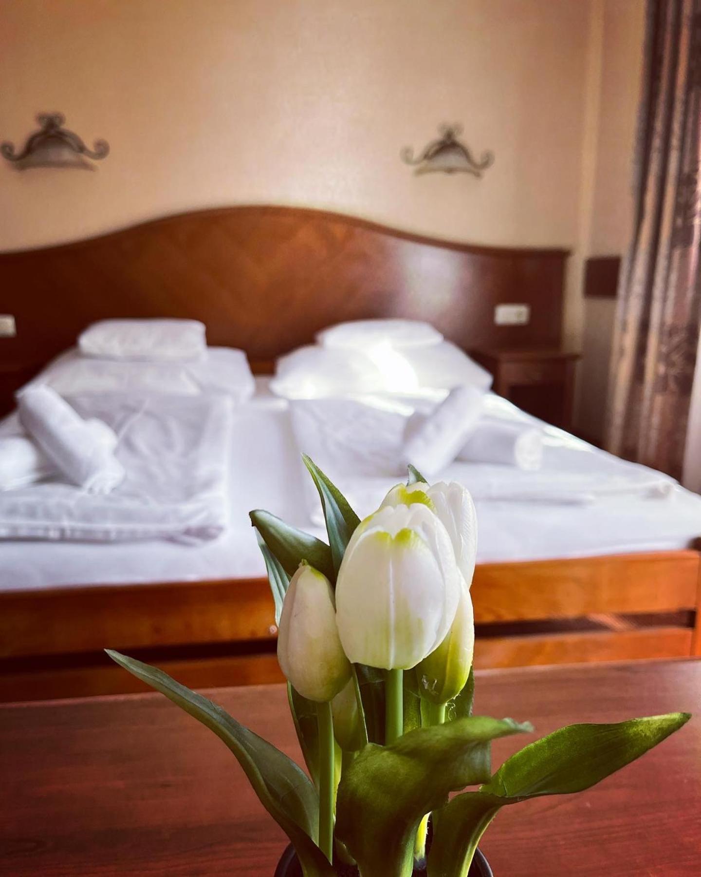 Bed and Breakfast Fonix Wellness *** 1 A Epulet Hévíz Exteriér fotografie